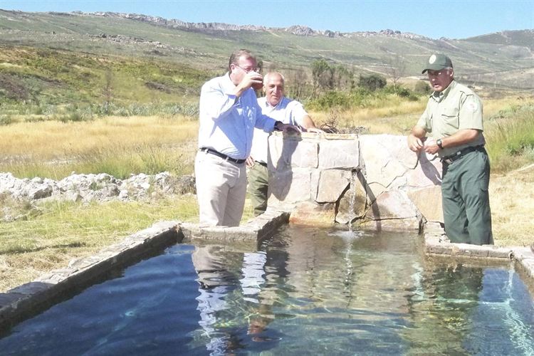 Castilla y León. Regeneración de los pinares afectados en Castrocontrigo (León)