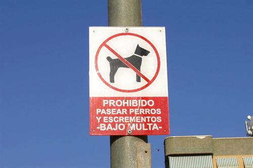 El Refugio lamenta un cartel en Águilas (Murcia) que prohíbe pasear perros