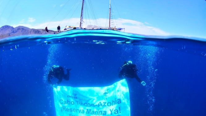 El Ejecutivo regional declara Cabo Tiñoso como Reserva Marina de Interés Pesquero