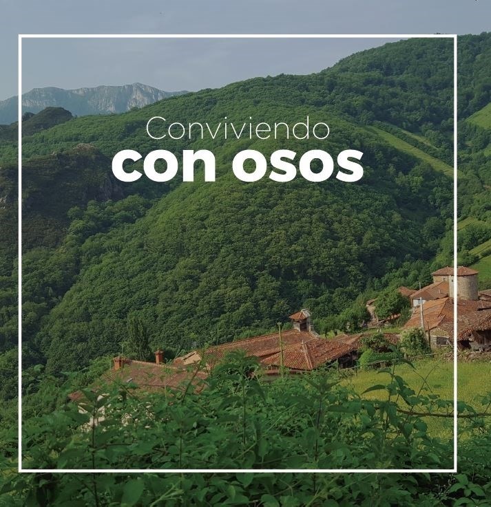 Distribuyen carteles y trípticos explicativos sobre cómo actuar ante el encuentro con un oso en Asturias