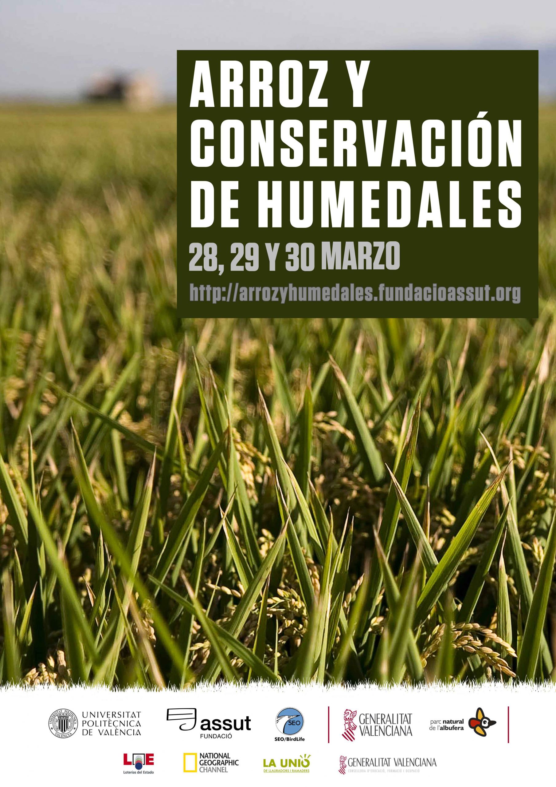 Unas jornadas analizan el papel clave del agricultor en la conservación de humedales como l’Albufera