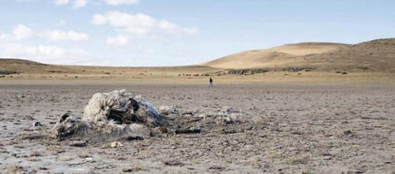 El norte de la Patagonia sufre la peor sequía de los últimos 60 años