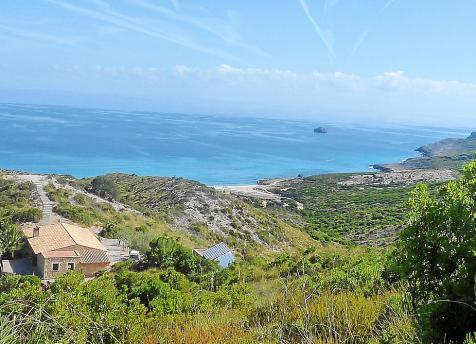 El operador turístico TUI realiza una campaña de reforestación de 48 hectáreas en el Parque Natural de Llevant