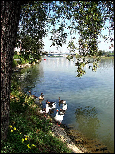Medio Ambiente inicia una campaña para difundir la historia y valores ambientales del río Guadalquivir