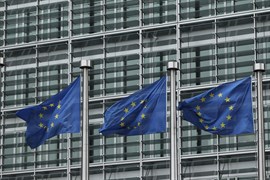 La Eurocámara pide que la absorción de CO2 supere a las emisiones en los países de la UE en 2030