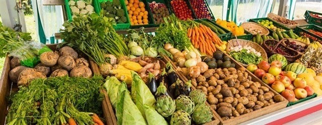 A vueltas con el maldito glifosato