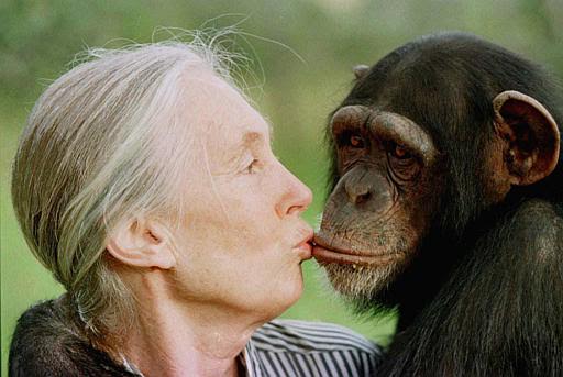 XXVII Edición del Premi Internacional Catalunya para la primatóloga Jane Goodall