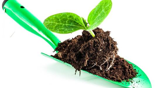 NUEVO máster en Rehabilitación Ambiental Terrestre