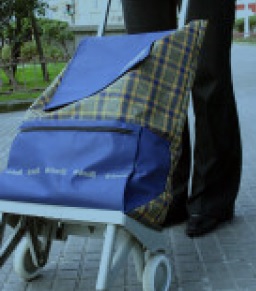 Tenemos derecho a un medio ambiente ‘sostenible’