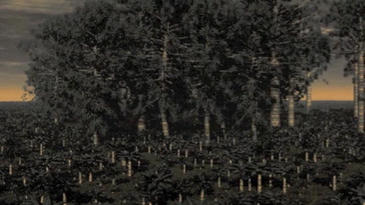 Canción de amor de un grillo jurásico