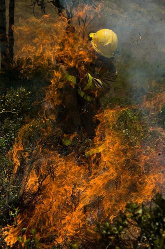 Medio Ambiente realiza un estudio sobre el riesgo de incendios en zonas urbano-forestales