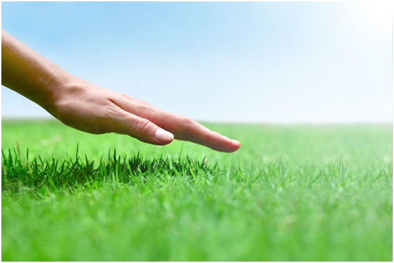 ¿Qué es la energía Geotérmica?