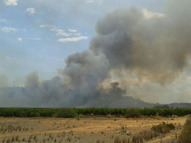 Extinguido el incendio forestal de Chiva (Valencia) tras calcinar 4 hectáreas