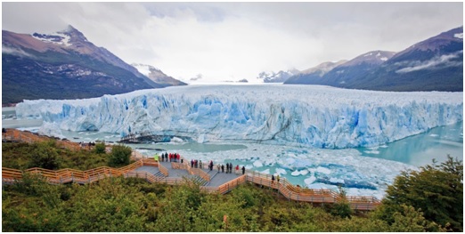 Protege y defiende el medio ambiente con el curso de INTESA