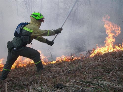 Medio Ambiente envía siete aeronaves y dos brigadas forestales a la extinción en Vilardevós (Orense)