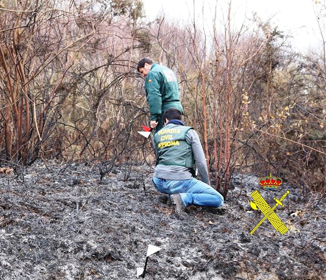 La Guardia Civil identifica a más de una docena de autores de los incendios de diciembre