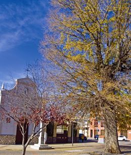 Ayuntamiento de Pinto (Comunidad de Madrid)