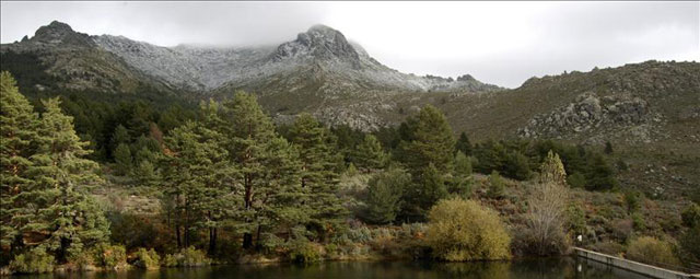 El Patronato del Parque Nacional de la Sierra de Guadarrama quedará constituido este lunes