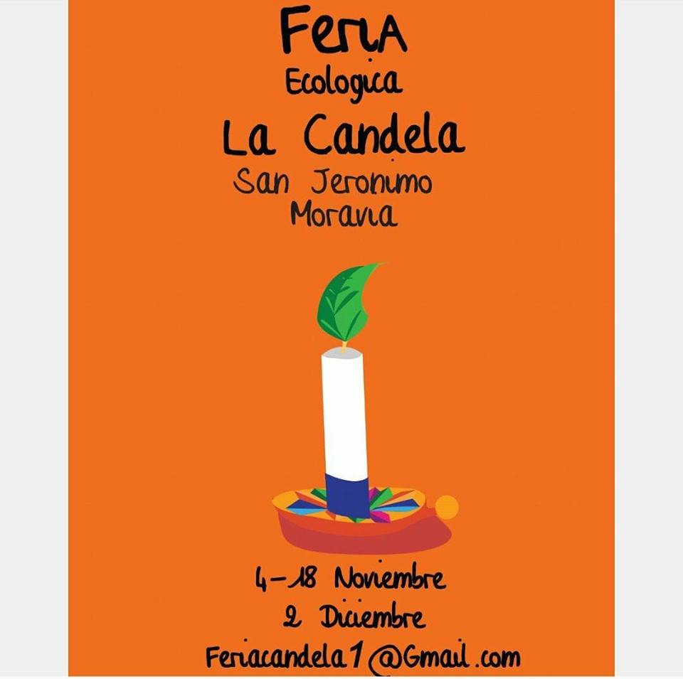 Vecinos de Moravia tendrán feria ecológica en 3 fechas