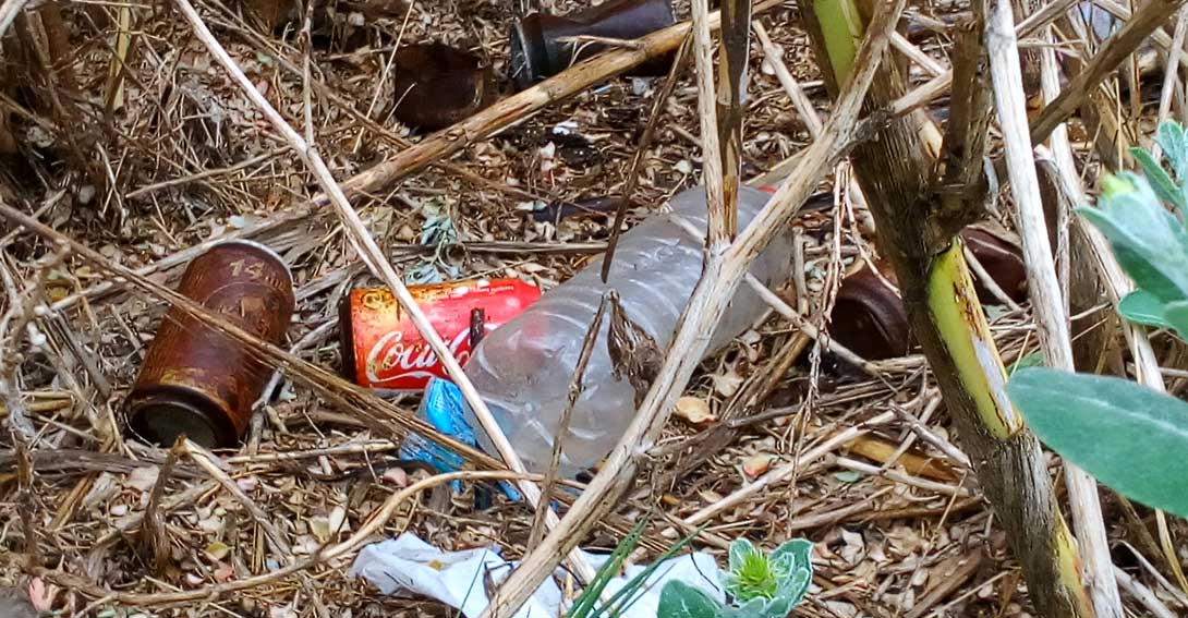 Las Cortes Valencianas también quieren un Sistema de Depósito que acabe con latas y botellas abandonadas