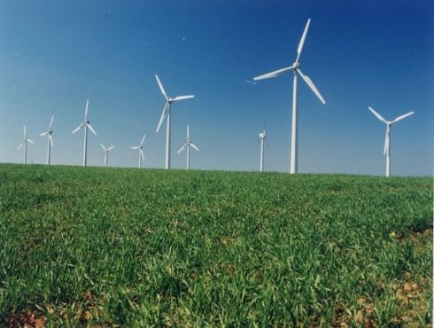 Crearán un Parque Eco Industrial frente al Parque Eólico Arauco