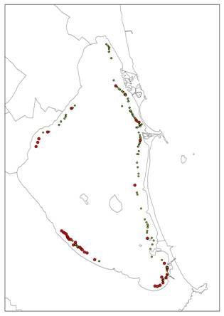 Murcia. ANSE denuncia la excesiva presión de la pesca en el Mar Menor