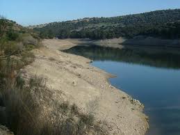 Cádiz. Los parajes naturales de los embalses de Bornos y Arcos aumentan en 221 hectáreas su zona protegida