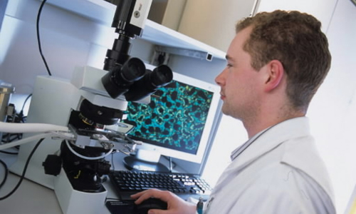 El Consistorio de Alcalá de Henares y la UAH buscan formar científicos en clima