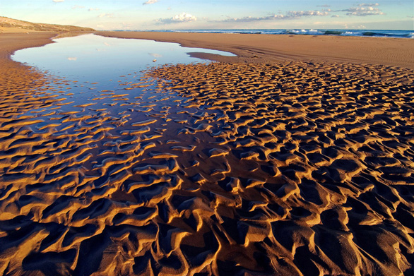 ONGs ecologistas piden soluciones a la crisis ambiental de Murcia