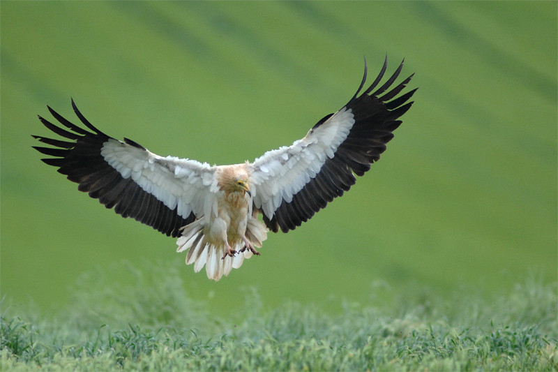 Diputación de Bizkaia finaliza las obras de la Vía Verde del Alimoche