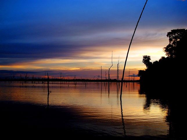 Una ‘grotesca’ represa amazónica cercena la biodiversidad