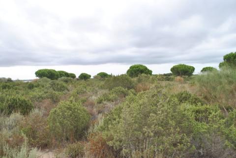 El Gobierno invierte 2