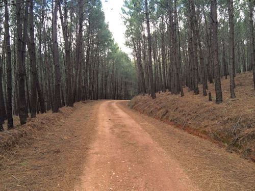 Este jueves se aprobará la ‘nefasta’ la Ley de Montes