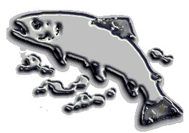 Arranca el control del mercurio