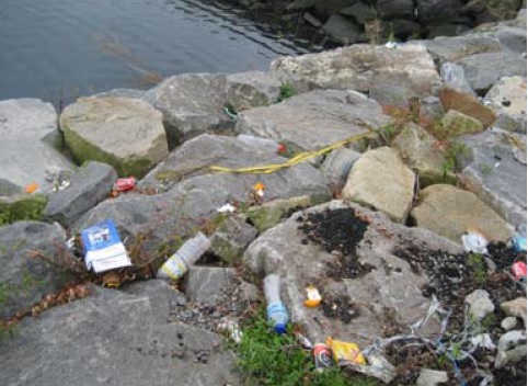 Los buques generan ingentes cantidades de residuos que no se tratan correctamente