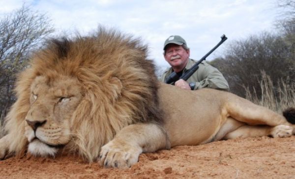 Para preservar el flujo de turismo Zambia prohíbe cazar leones y leopardos