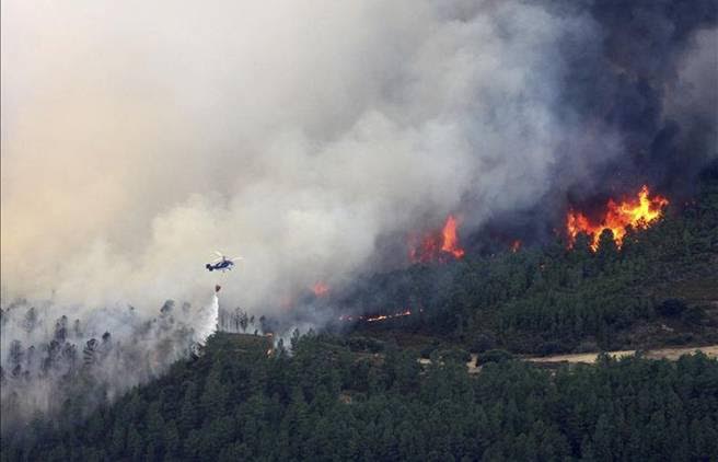 Los daños del incendio forestal de Gata superan los 50 millones