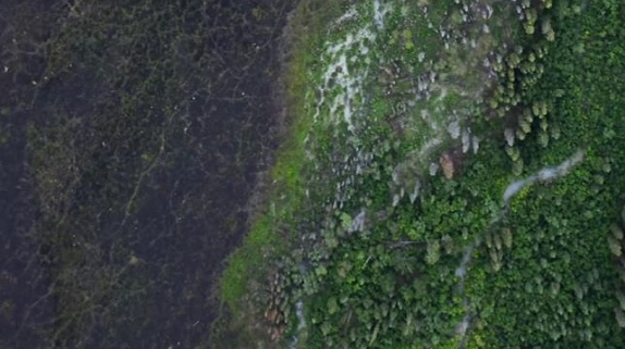 Google Earth revela 467 millones de hectáreas de bosque sin registrar