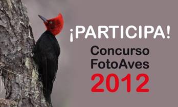 Concurso FotoAves