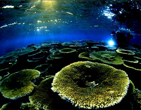 El Smithsonian informa de altas temperaturas