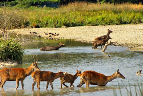 Casi la mitad de los humedales de España se han destruido en el siglo XX