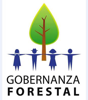 Gobernanza forestal como condición de sostenibilidad