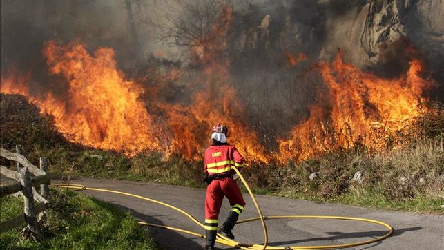 Asturias confía en que Europa ayude económicamente para paliar los incendios forestales