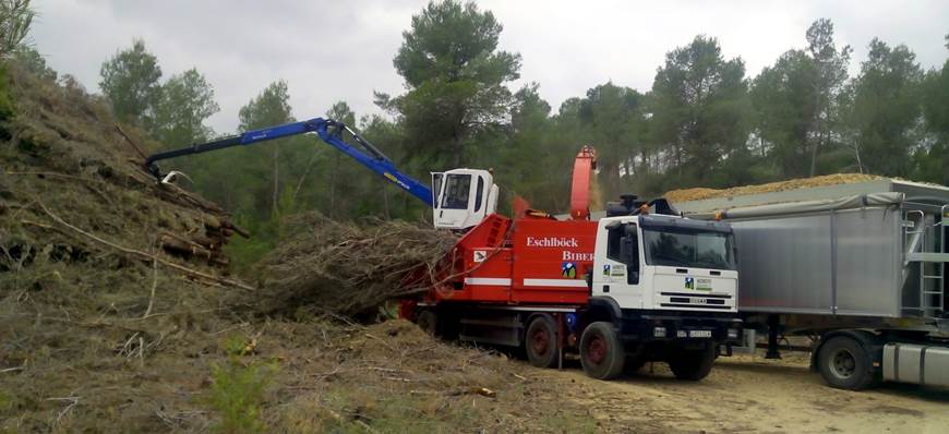 Quiénes son los responsables de la tala del monte comunal de Enguera