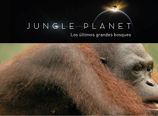 ‘Planeta selva’ (‘Jungle planet’)