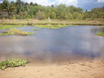 Costa Rica consigue con nuevas tecnologias reducir la presencia de arsénico en agua