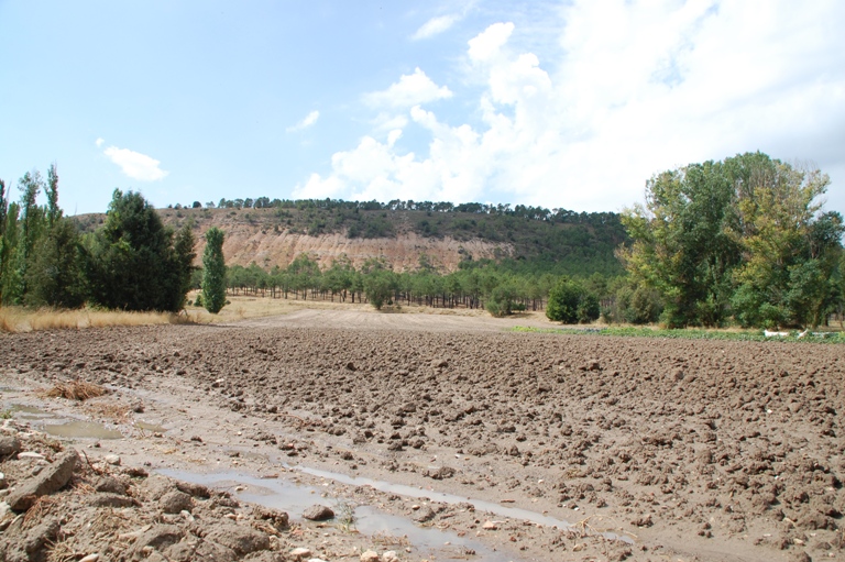 Establecidos en Asturias los niveles de referencia para metales pesados en suelos.