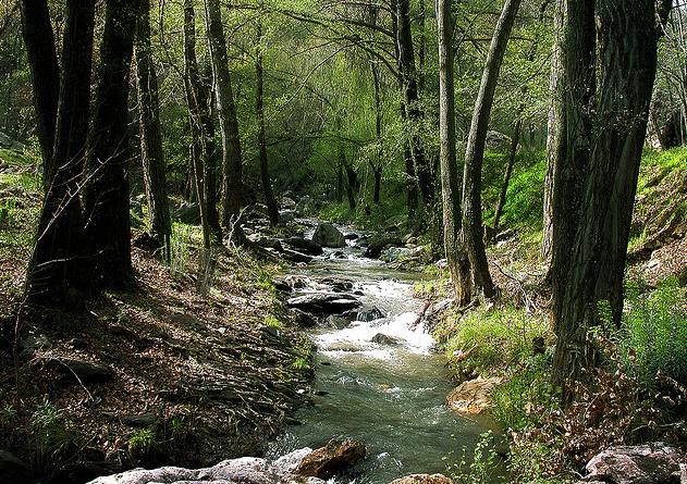 "Economía y ecología están condenadas a entenderse"