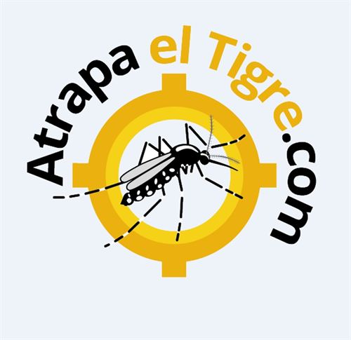 Una aplicación para móviles ayuda a detectar al mosquito tigre
