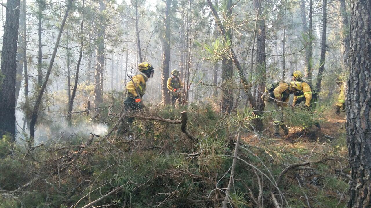 13 medios aéreos y 2 Brigadas de especialistas continúan trabajando desde aire y tierra en el incendio de Yeste (Albacete)
